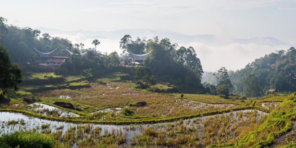 Sulawesi - Toraja country