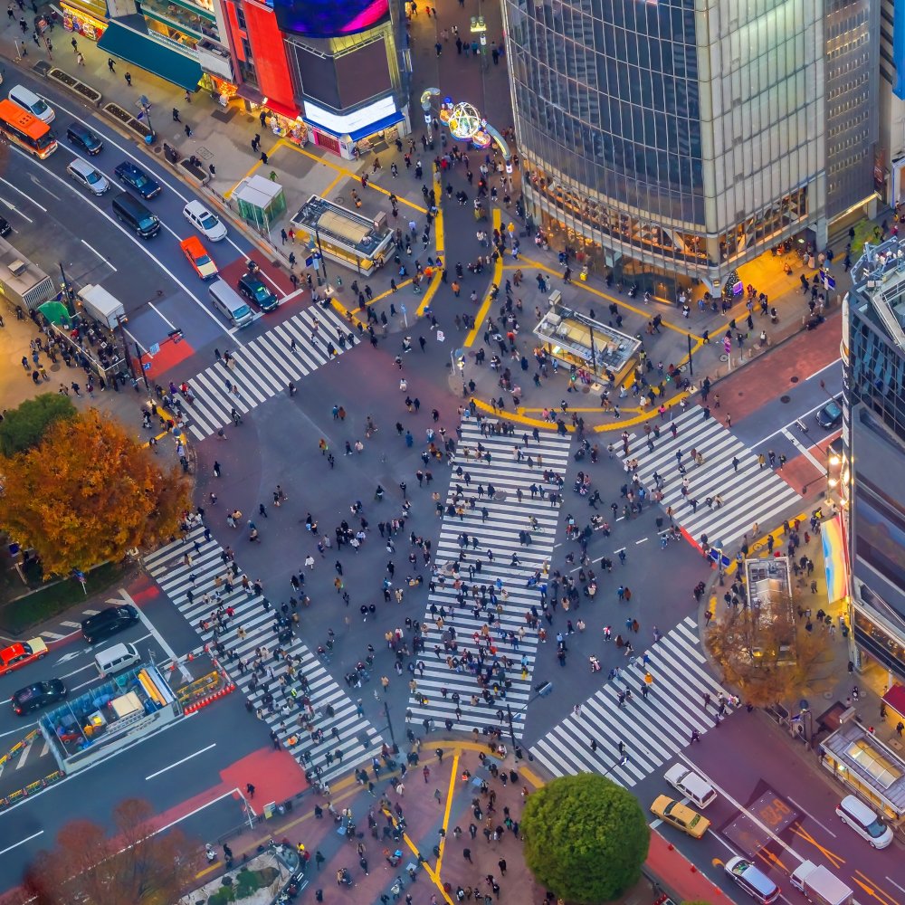 Shibuya Crossing